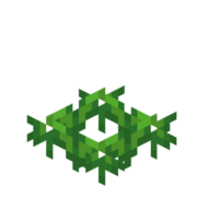 Рост моркови 2.png